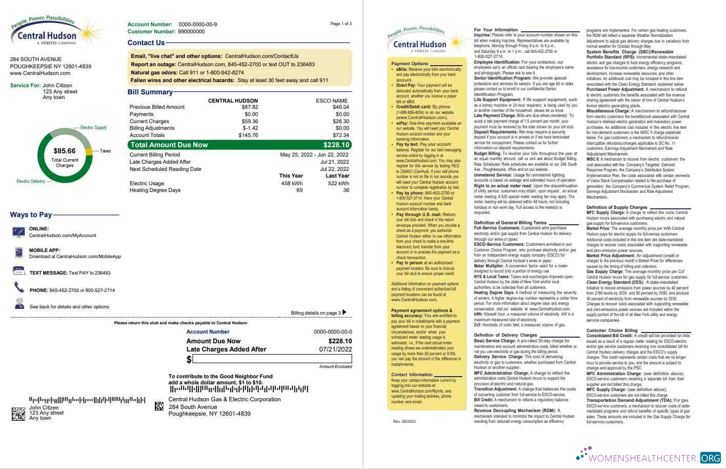 download USA New York Central Hudson A fortis company utility bill, Word and PDF template, 3 pages 1 2 PDF template